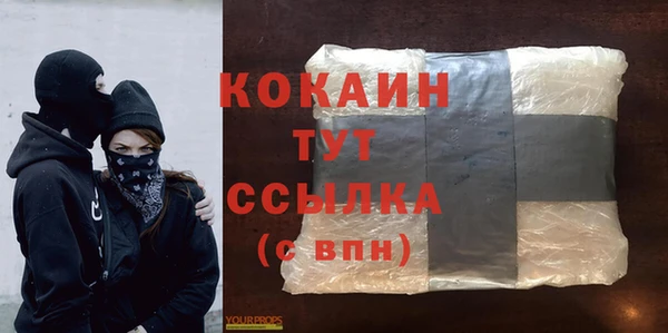 тгк Абаза