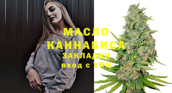 тгк Абаза