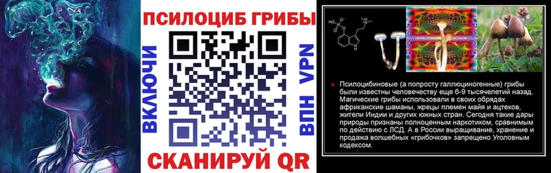 Псилоцибиновые грибы GOLDEN TEACHER Болотное